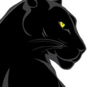 CVV 教学入门基础