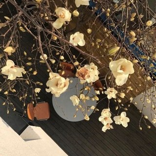 love, allureous: Read Description