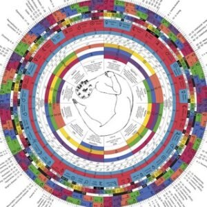 Astrology  Join @astrologygroup