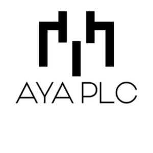 AYA ice cream & cake prodcut