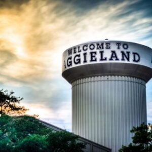 Bcs 25+ Screening Room