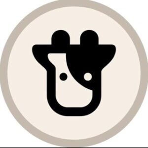 Beefy Finance Official Support