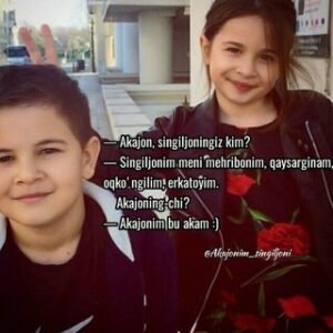 B_e_o_z_o_r_i_m G_u_l_i_m