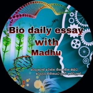 Bio daily essay with madhu