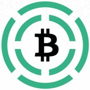 Bitcoin Cash City