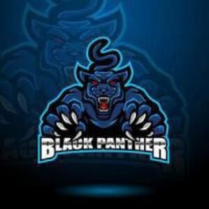 Black Panther (ama Hub)