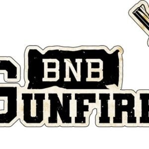 Bnb Gun Fire Cn
