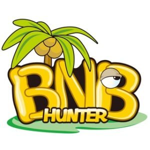Bnbhunter |the Mmorpg Game With Nft Stor...