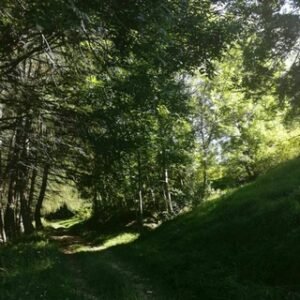 Cammini D’italia E Del Mondo