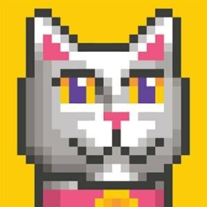 Catheadpunks Chat