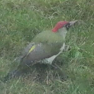 Chat Positiv Denken Und Dankbarkeit