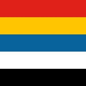 Chinese Democracy Movement