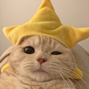 𝐒𝐭𝐫𝐢𝐩𝐞 𝐁𝐢𝐧 + 𝐒𝐢𝐭𝐞ᶜⁿꪜ🇲🇲