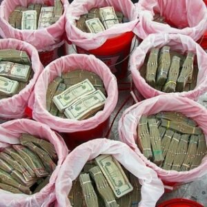 Id,CPNs,Pros, PublicRec,TradeLines,Emails, Bank Accts(drops),MailFrwd, Business Formation(LLC,S/C CORP)