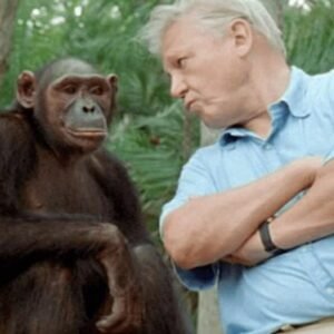 David Attenborough Documentary Discussio...