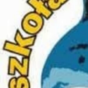 cvv CVV 2D现金通道搭建全套技术