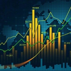 STOCK MARKET TRADER