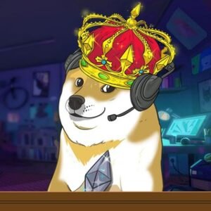 DogeCast Community