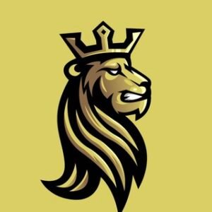 Earning PayTM Binomo Signals