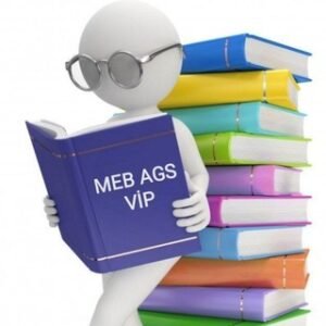 Meb Ags Vip