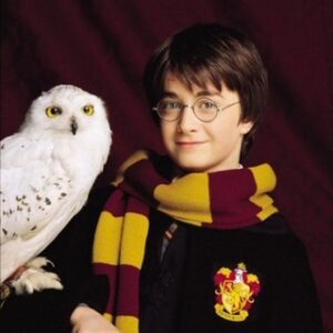 English with Harry Potter