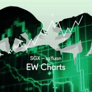 SGX Penny Stocks (EW Charts by sgYuan)