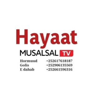 HAYAAT MUSALSAL TV