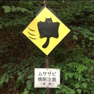 flying_squirrels_lagang.mp3