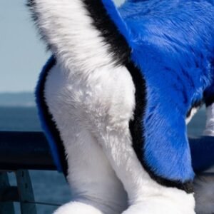 Fursuit Yiff Pics and Vids