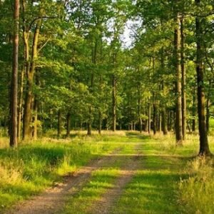 Green Energy Token – EN