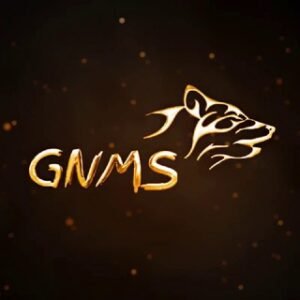 GNMS Editz 🪄 – ⁴ᴷ ᵂʰᵃᵗˢᵃᵖᵖ ˢᵗᵃᵗᵘˢ