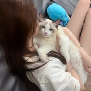 FB-领英-IG 各种社交软件