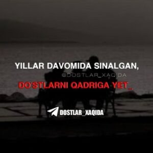 Zakaz Video Funimate