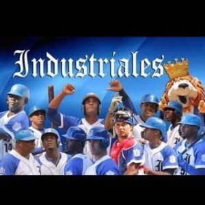 Industriales los Azules de la Capital