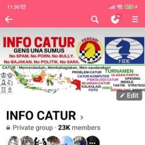 Info Catur