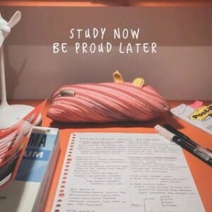 Jbt/cet Preparation Haryana ()