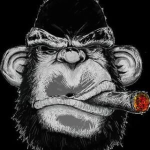 Kinky Tricky | Online Casino Bug Hunter