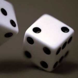 서울구치소 직영 주사위게임