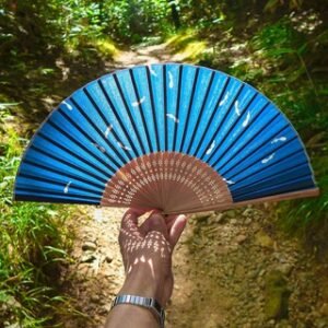 Kyoto Insights