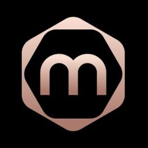 MetaHive | LFG