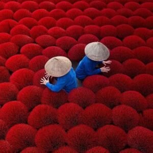 Hello work! Work in china 🇨🇳