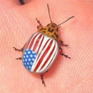 FLEXible підліток