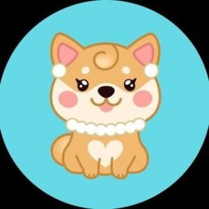 Mommy Doge Coin France
