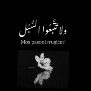 ولا تَتَّبِعُوا السُّبُل/Alp