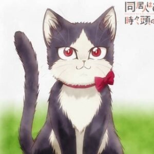 My Roommate is a Cat English Dub | 480p 720p 1080p | Dual Audio | Doukyonin wa Hiza Tokidoki Atama no Ue