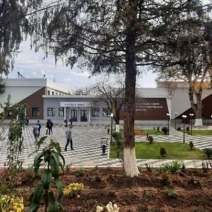 Students Of Piima ( Or Mafia )