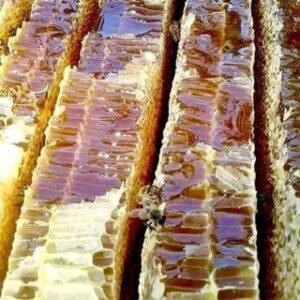 ទឹកឃ្មុំុំ​ធម្មជាតិ​ Natural Honey