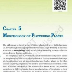 Chapter 5 – Morphology of flowering plants (class-11, NCERT-biology, Botany)