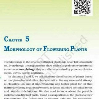 neetbotbio11morphologyofplants