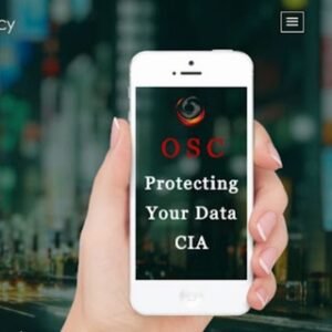 Offensive Security & Consultancy (o...
